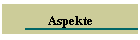 Aspekte